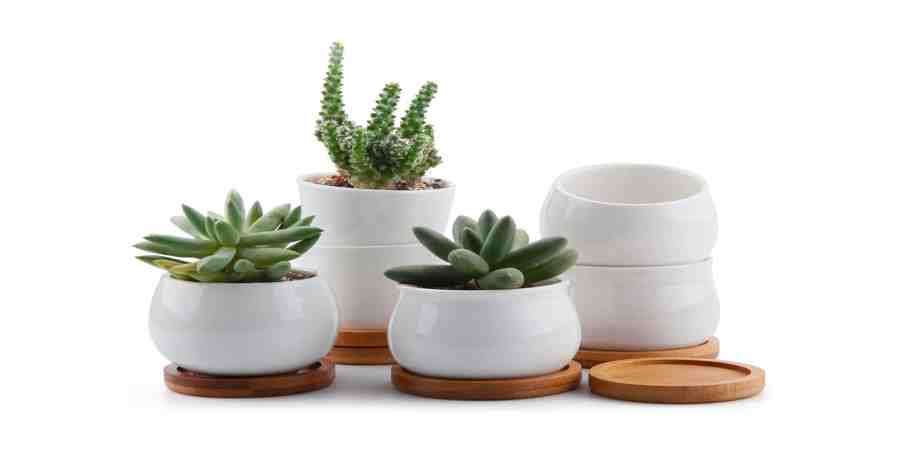 ZDY BOX 10CM Vasi per Piante grasse in Ceramica Vasi per Piante di Cactus Piccoli vasi per Fiori con sottobicchieri in bambù Quadrato Arrotondato No 2 Bianco